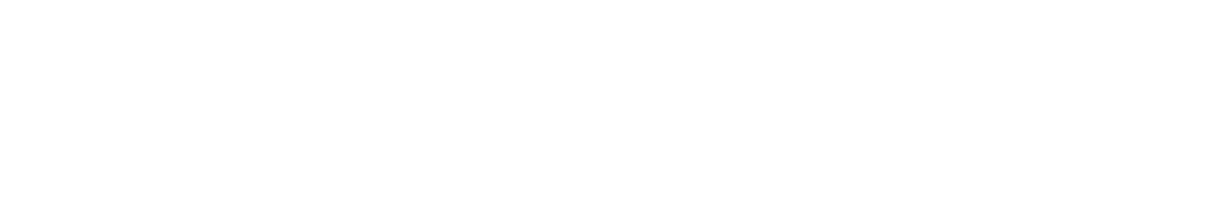 Cybermindz-logo-name-reverse_white-1